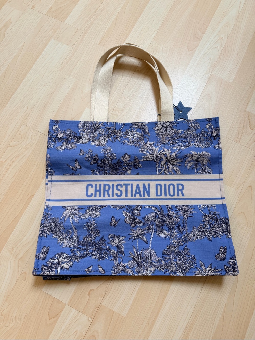 Dior Blue Canvas Tote Bag